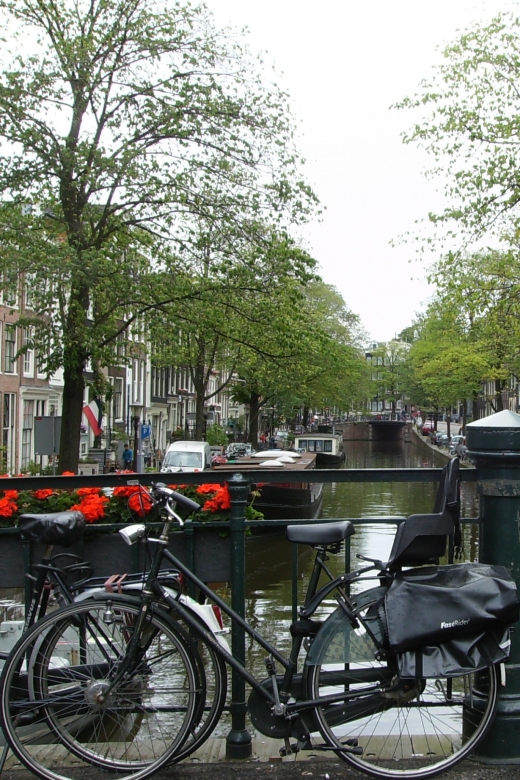 2.5-Hour Amsterdam Sightseeing Tour by Bike - Museum Square by bike, with the Wester Churchtower moment