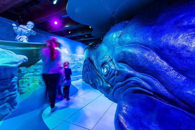 75 minute Blue Boat Company City Canal Cruise and Maritime Museum - Should you book the Blue Boat cruise plus Maritime Museum?
