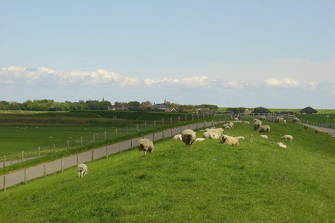 A day of solex riding on Texel - The route map and how to plan a real loop (without getting stuck)