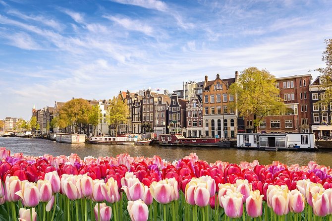 Airport Transfer: Schiphol Airport AMS to Amsterdam by Luxury Van - Who this transfer is best for