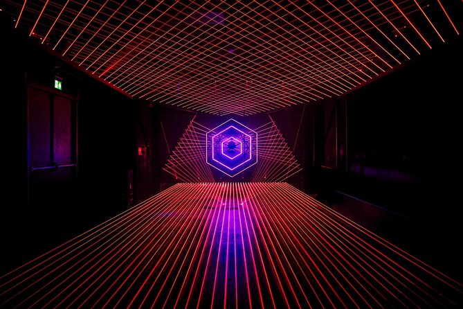 AMAZE Amsterdam: Immersive Audiovisual Experience - Why Amaze Amsterdam Feels Like a Winter Night Out