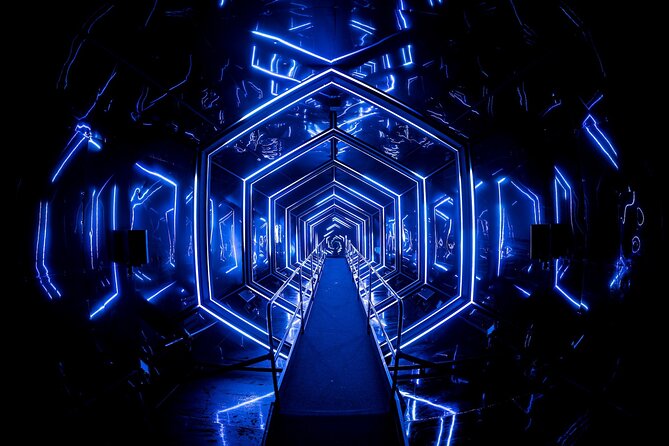 AMAZE Amsterdam: Immersive Audiovisual Experience - Price and Value: What $23 Buys You