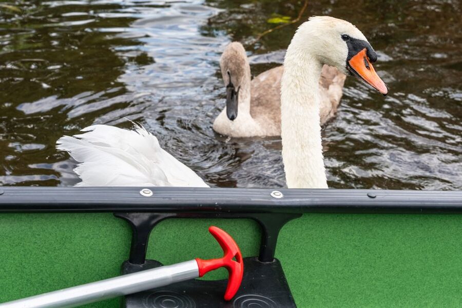 Amsterdam: 2-Hour Guided Canoe Trip - After the canoe: relaxing in the guide’s garden with your own picnic