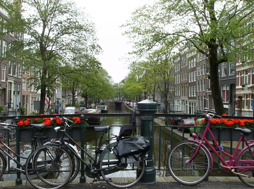 Amsterdam: 2-Hour Sightseeing Tour by Rickshaw - How the driver handles the “walk-in spots” near museums and memorials
