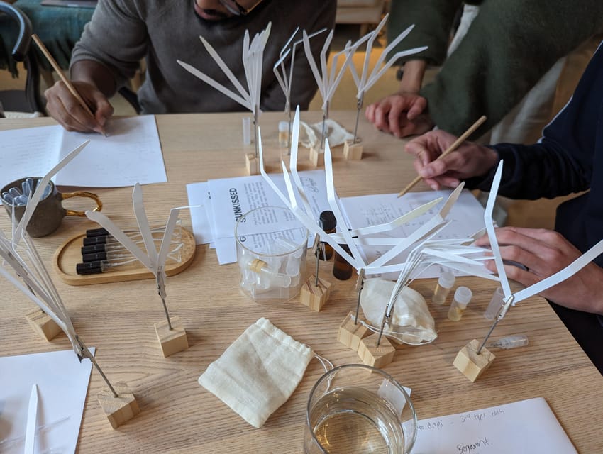 Amsterdam: 3-Hour Mindful Perfume-Making Workshop - What the day feels like, from start to finish