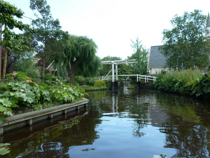 Amsterdam 5-Hour Guided Canoe Trip in the Wetlands - On the water: 17th-century-style wetlands, reed channels, and birding