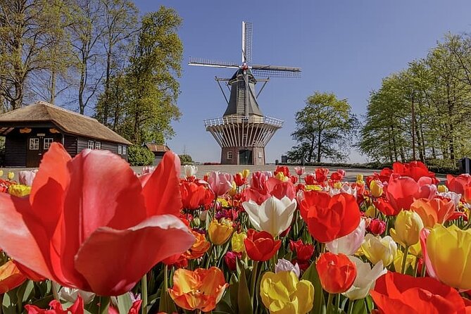 Amsterdam Airport (AMS) Transfer to Amsterdam/Rotterdam/Keukenhof - Comfort and Vehicle Details, Explained Simply