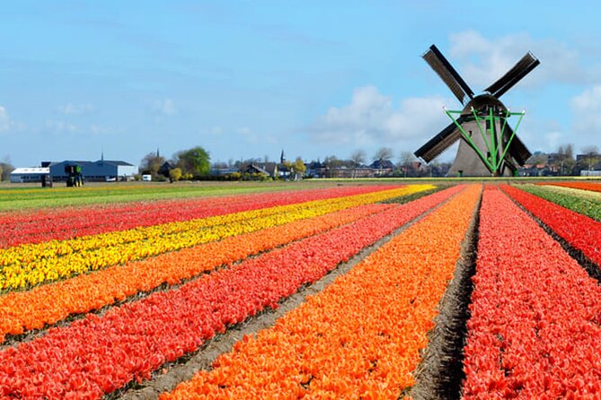 Amsterdam Airport (AMS) Transfer to Amsterdam/Rotterdam/Keukenhof - When This Transfer Is Best (And When It Might Not Be)