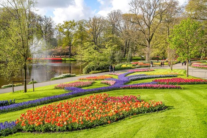 Amsterdam Airport (AMS) Transfer to Amsterdam/Rotterdam/Keukenhof - Meeting Your Driver: The Practical Flow