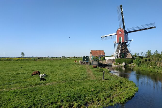 Amsterdam and Countryside Private Full-Day Tour by luxury car - Marken by foot: narrow streets, wooden houses, and a port-side feel