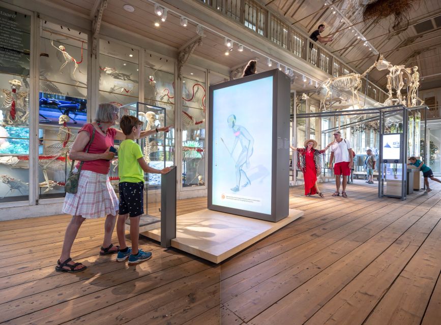 Amsterdam: ARTIS-Groote Museum Entry Ticket - Sensory highlights: the scent tunnel and other ways you learn