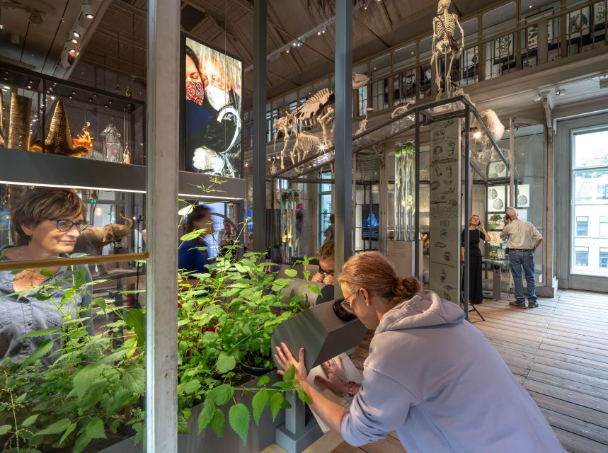 Amsterdam: ARTIS-Groote Museum Entry Ticket - Pairing ARTIS-Groote Museum with the rest of ARTIS
