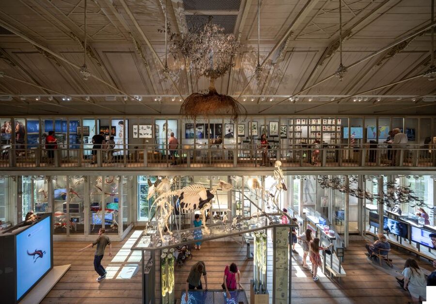 Amsterdam: ARTIS-Groote Museum Entry Ticket - Price and value: what the $21 ticket actually buys