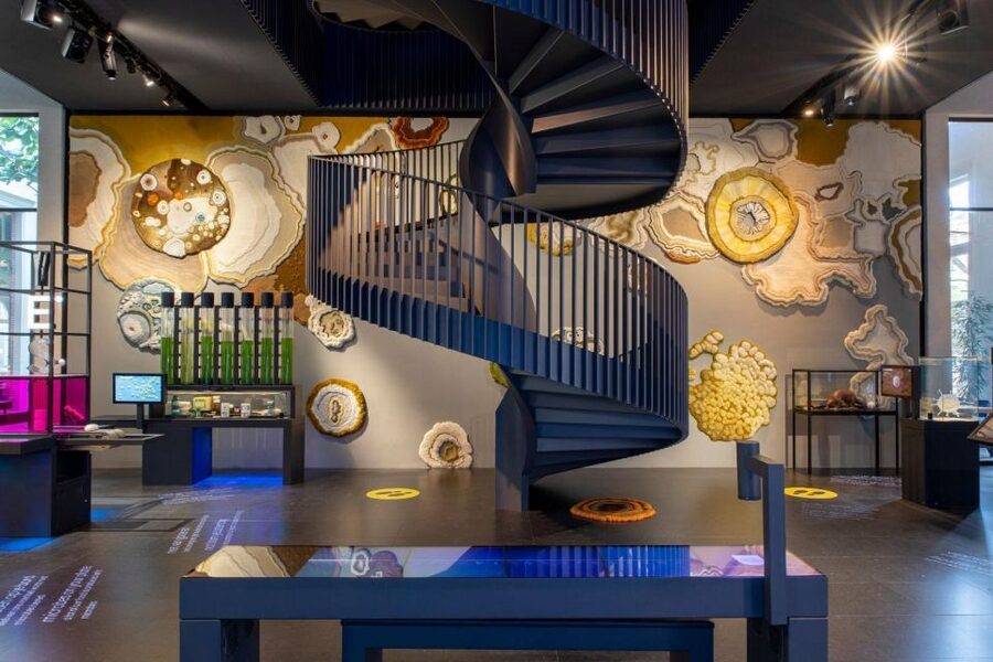 Amsterdam: ARTIS-Micropia Microbe Museum Entry Ticket - Your Microbe Passport: Scanning, Stamps, and Interactive Stops