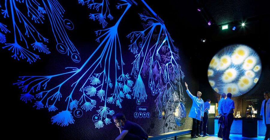 Amsterdam: ARTIS-Micropia Microbe Museum Entry Ticket - Micro Mission Spring Break Workshop: A Free Extra When It Runs