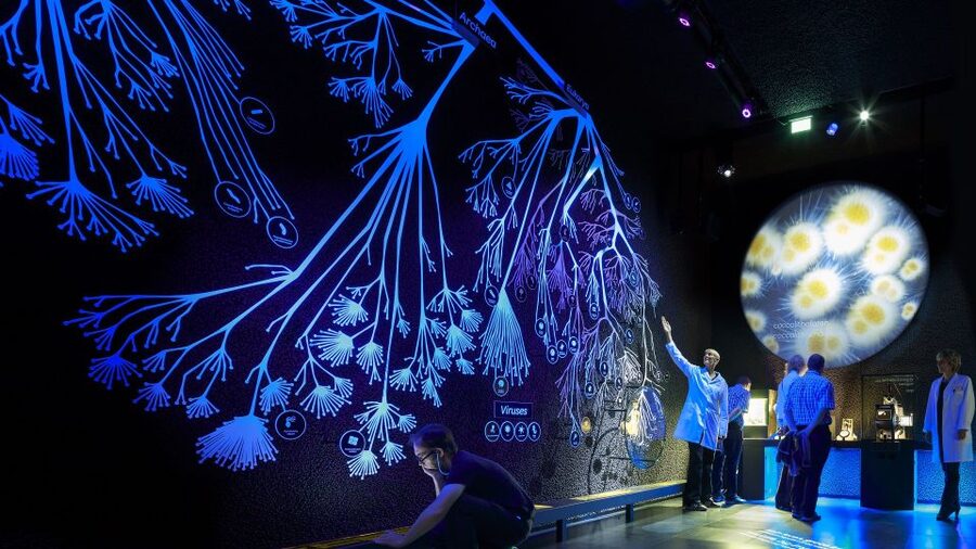 Amsterdam: ARTIS-Micropia Microbe Museum Entry Ticket - Pairing Micropia With ARTIS-Groote Museum and the Zoo