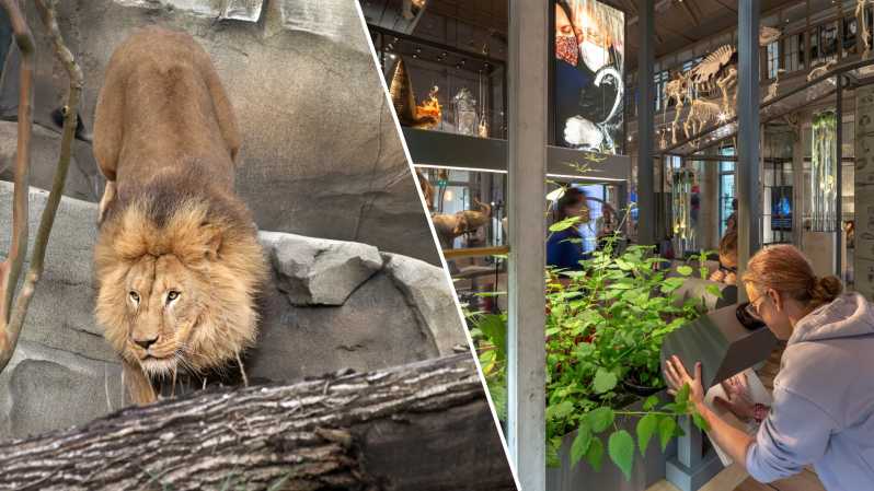 Amsterdam: ARTIS Royal Zoo and ARTIS Groote Museum Ticket - Newborn Elephant Calves and the Elephant Expedition Trail