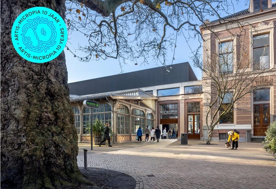 Amsterdam: Artis Royal Zoo & ARTIS-Micropia Combo Ticket - ARTIS-Micropia: the microbe museum that changes how you look at daily life