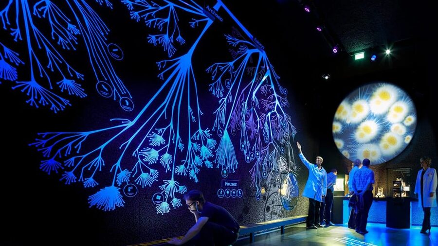 Amsterdam: Artis Royal Zoo & ARTIS-Micropia Combo Ticket - Timing strategy: how to plan a smooth full day