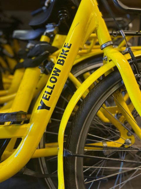 Amsterdam Bike Rental: Central Station & City Center - Should You Book It? My Bottom-Line Advice