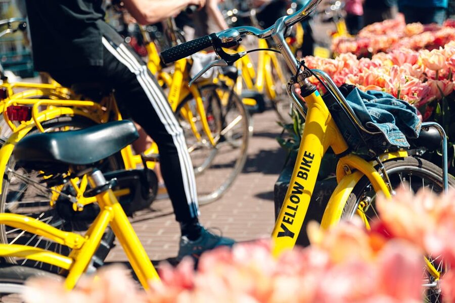 Amsterdam Bike Rental: Central Station & City Center - What You Get for Comfort: Size Options and Adjustable Saddles