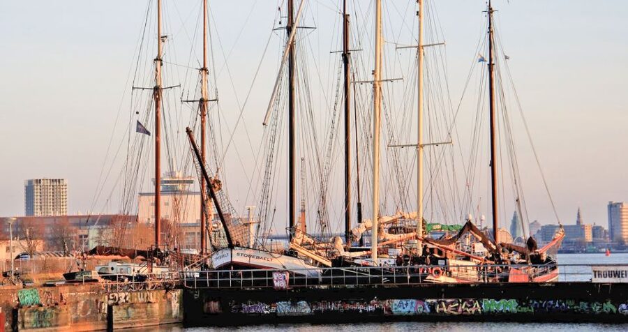 Amsterdam: Bike Tour (Noord) in German or English - Sea Palace meeting point: start where the ferry does
