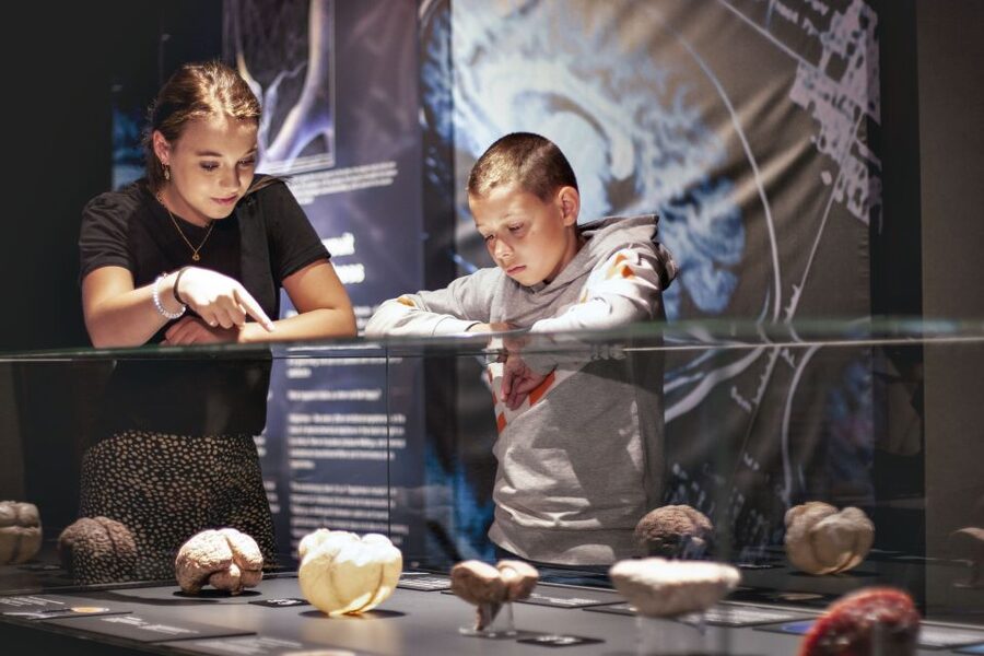 Amsterdam: Body Worlds Exhibition and Canal Cruise - Boarding points: where to go for the boat