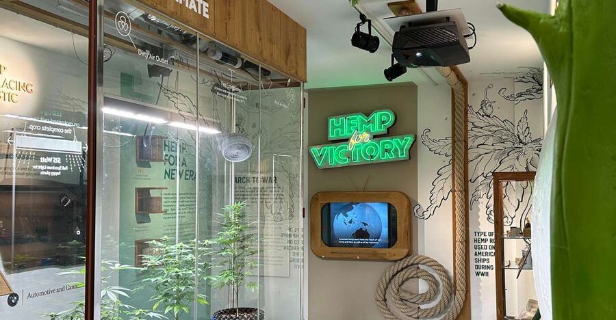 Amsterdam: Cannabis Museum Entry Ticket - Key things I’d circle on your Amsterdam Cannabis Museum visit