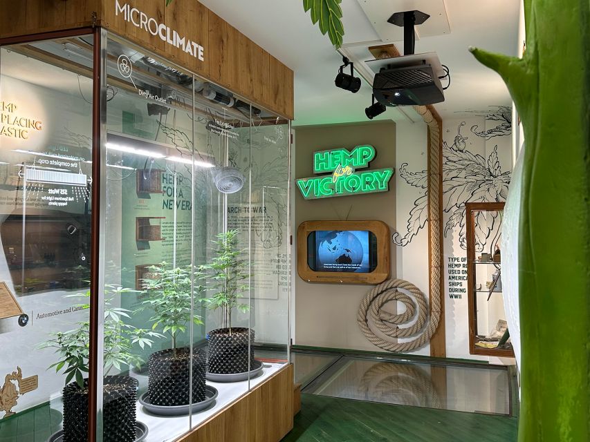 Amsterdam: Cannabis Museum Entry Ticket - The indoor ecosystem: live plants, microscope time, and testing machine moments