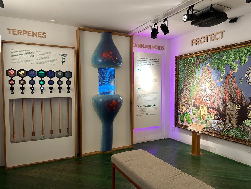 Amsterdam: Cannabis Museum Entry Ticket - Hemp uses, superfood talk, and medicine claims without the hype