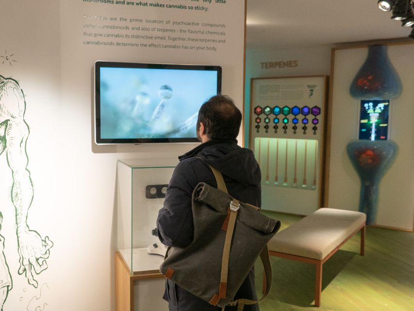 Amsterdam: Cannabis Museum Entry Ticket - Your three-floor route through cannabis science (and why it works)