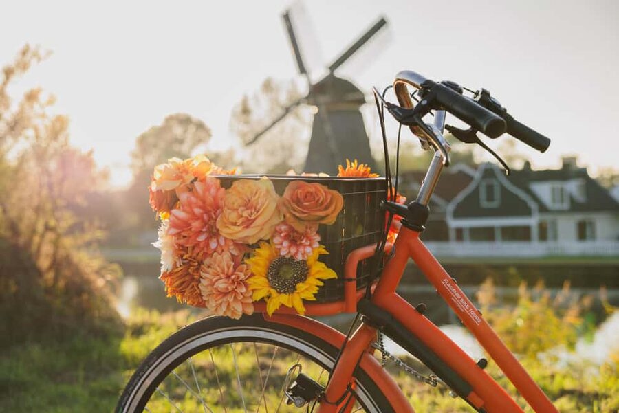 Amsterdam: Cheese Tasting, Windmill & Countryside Bike Tour - Windmill Expectations, Ferry Time, and How the Route Stays Fun