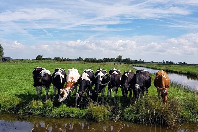 Amsterdam City & Countryside Tour: The Best of both Worlds - Zaanse Schans windmills and a clog-maker: classic Dutch in an hour