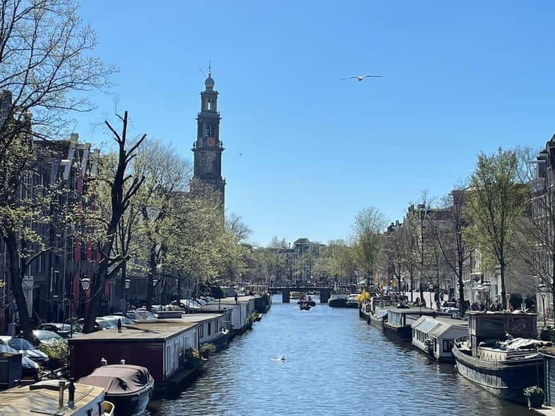 Amsterdam: City Tour in German - Price and value for $30 per person