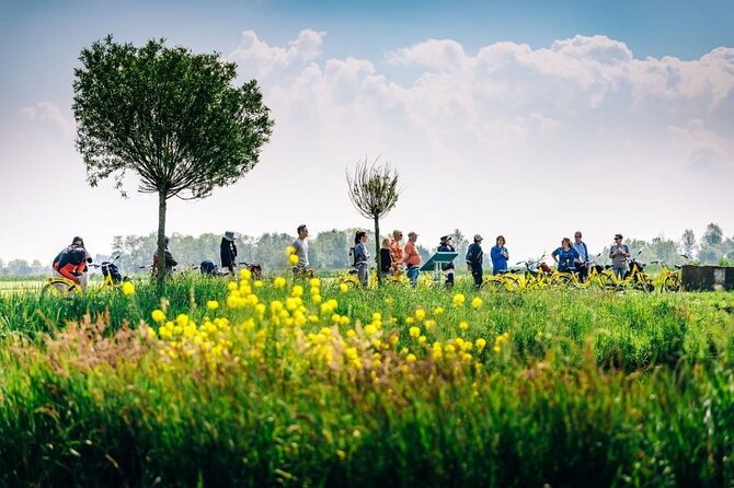 Amsterdam Countryside and Villages Bike Tour - Why an Amsterdam countryside bike tour beats a half-day sprint