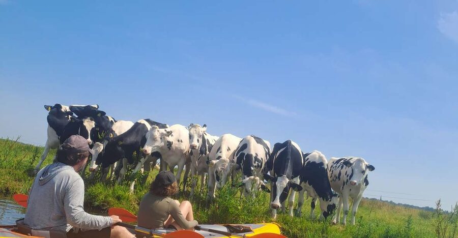 Amsterdam: Countryside Bike and Kayak Guided Tour - Key points before you go
