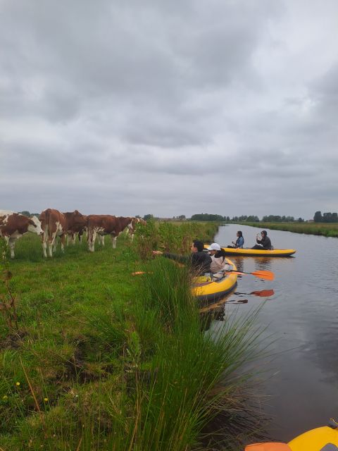Amsterdam: Countryside Bike and Kayak Guided Tour - North Holland on two wheels: countryside views without the long grind