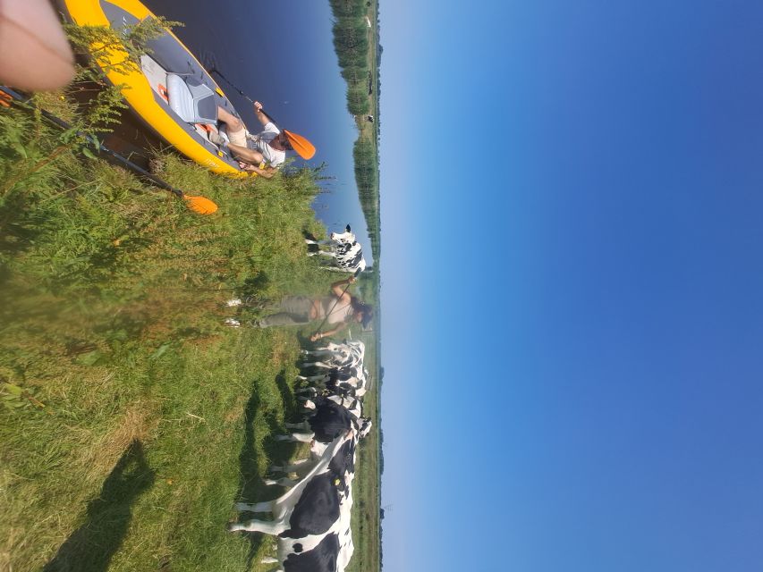 Amsterdam: Countryside Bike and Kayak Guided Tour - Broek in Waterland kayaking: calm water, cows on the banks