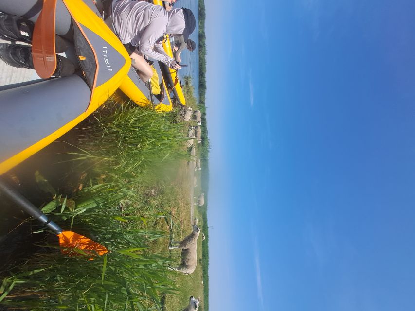 Amsterdam: Countryside Bike and Kayak Guided Tour - The break on land: lunch and village sightseeing in an old church