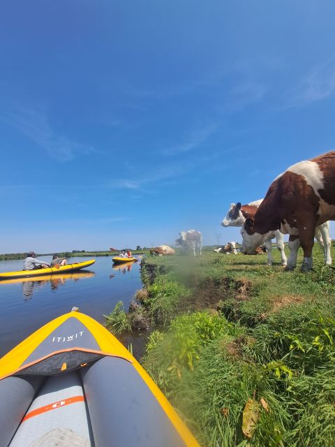 Amsterdam: Countryside Bike and Kayak Guided Tour - Who this tour suits best, and who might hesitate