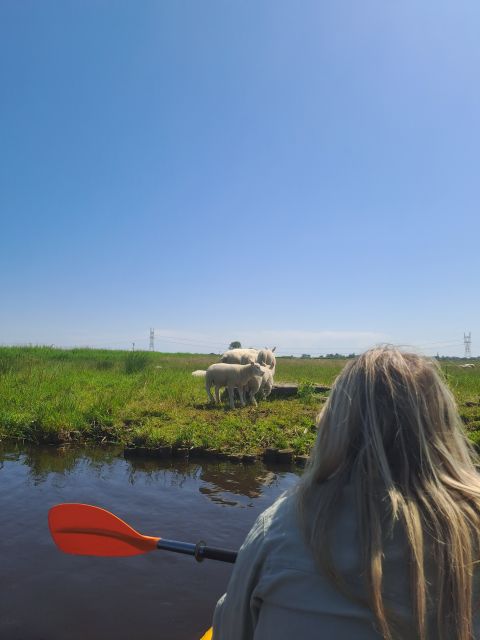 Amsterdam: Countryside Bike and Kayak Guided Tour - d’Admiraal Windmill: the photo stop with real context