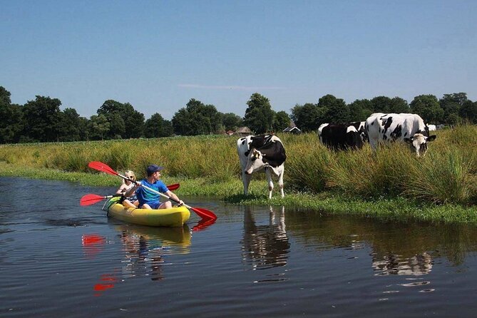 Amsterdam Countryside Bike and Kayak Tour - Starting Your Half-Day at Overhoeksplein, Then Rolling Into North Amsterdam