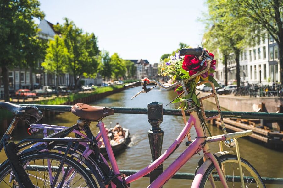 Amsterdam: Countryside Bike Tour - Should You Book This Amsterdam Countryside Bike Tour?