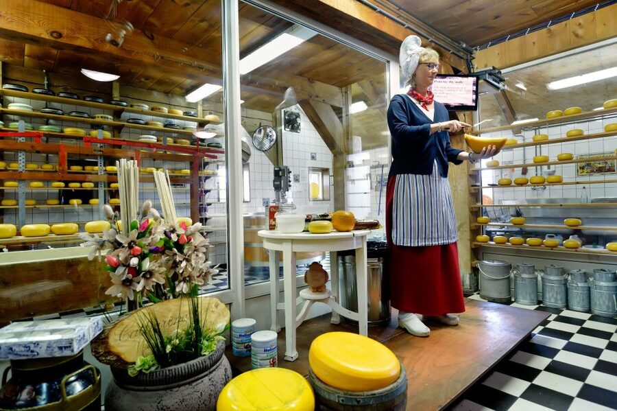 Amsterdam: Day Tour Keukenhof and Zaanse Schans Windmills - Keukenhof and windmills, the practical way to do both