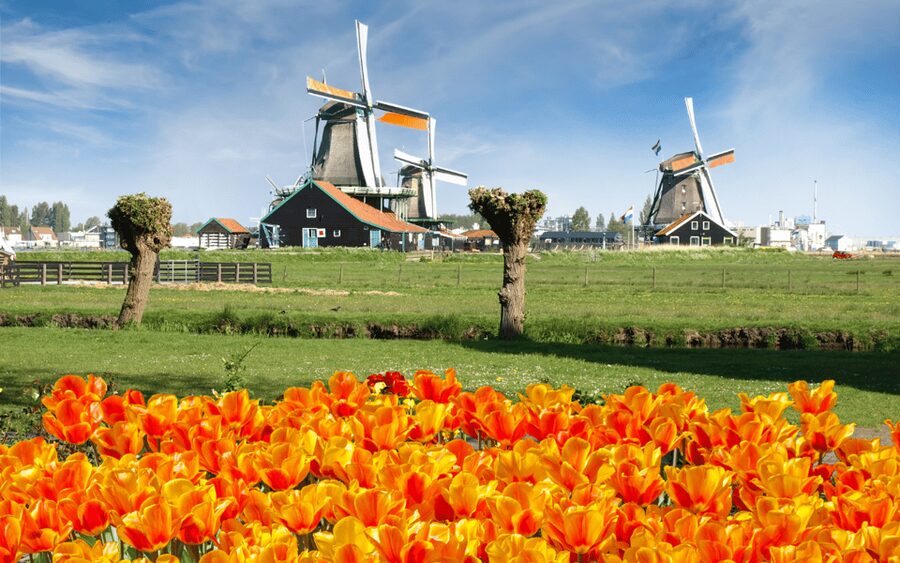 Amsterdam: Day Tour Keukenhof and Zaanse Schans Windmills - Getting to This is Holland, and why the ferry direction matters