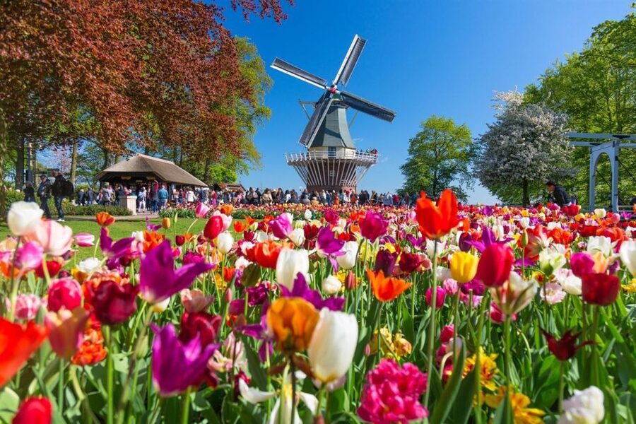 Amsterdam: Day Tour Keukenhof and Zaanse Schans Windmills - Zaanse Schans first: windmills, crafts, and self-paced wandering