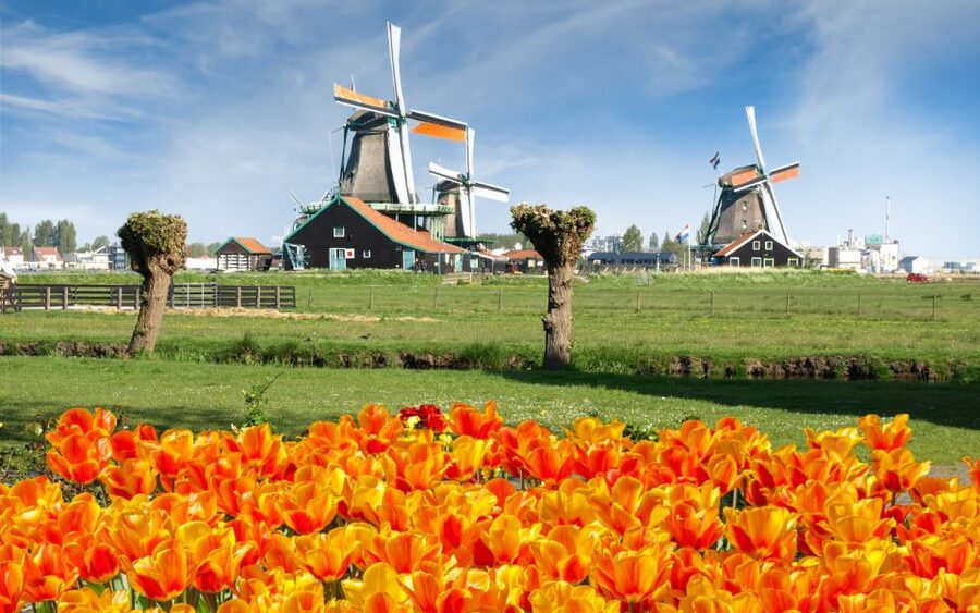 Amsterdam: Day Tour Keukenhof and Zaanse Schans Windmills - The optional windmill fees, and how to avoid the nickel-and-dime feeling
