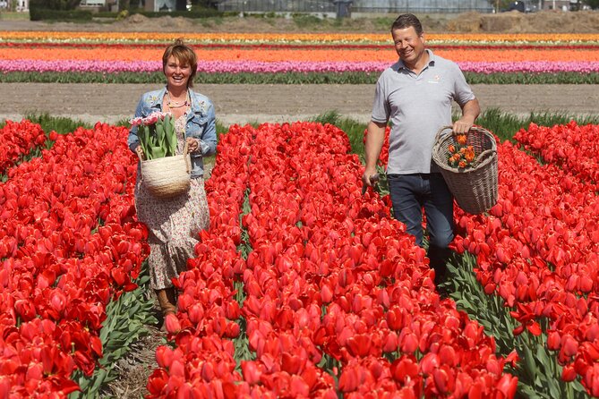 Amsterdam: Day trip to Tulip Farm, Keukenhof + Windmill Cruise - Kagerplassen Windmill Cruise: Scenic, Relaxing, Not a Lecture