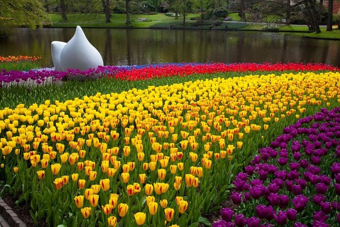 Amsterdam: Day trip to Tulip Farm, Keukenhof + Windmill Cruise - Price and Value: What You Pay for, and What You Avoid