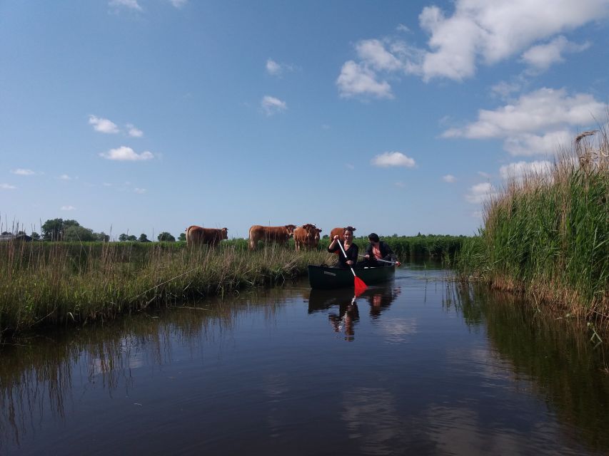 Amsterdam: Dutch Countryside Sunset Canoe Tour - Picnic by the lake, and a swim when the weather cooperates